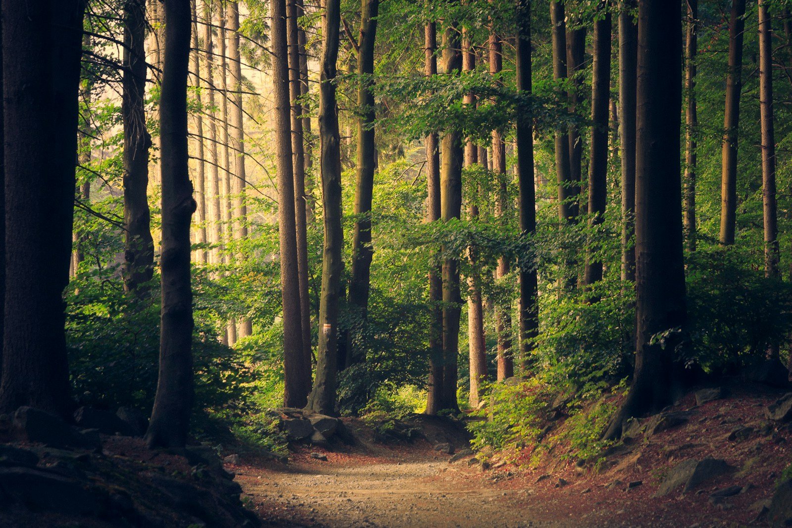 Scenic valley landscape for weekend getaways