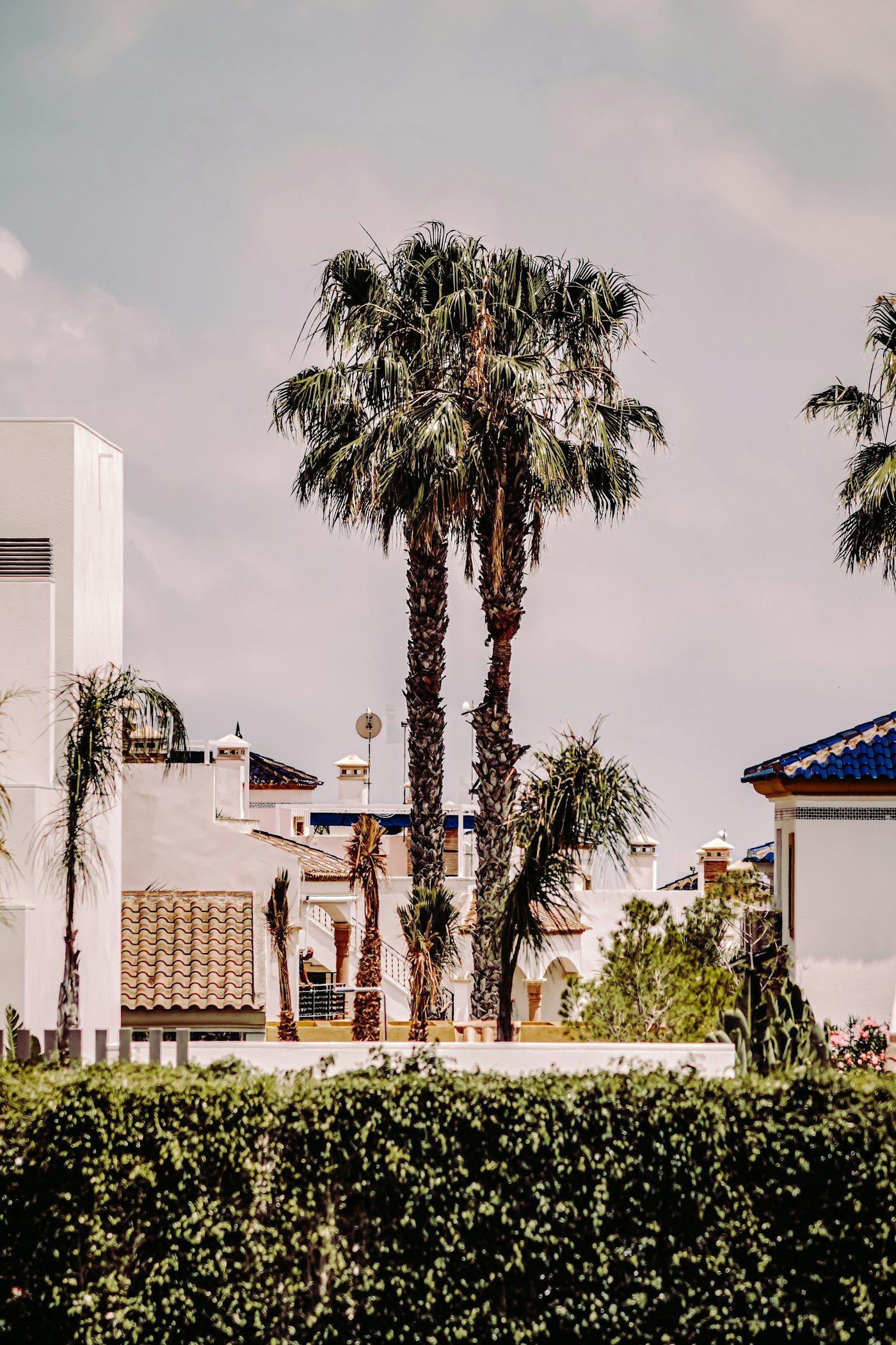 Palms & Pines Villa