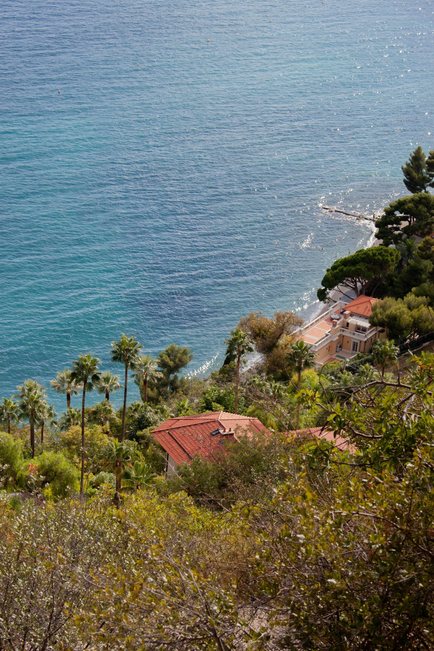 Ocean Breeze Estate
